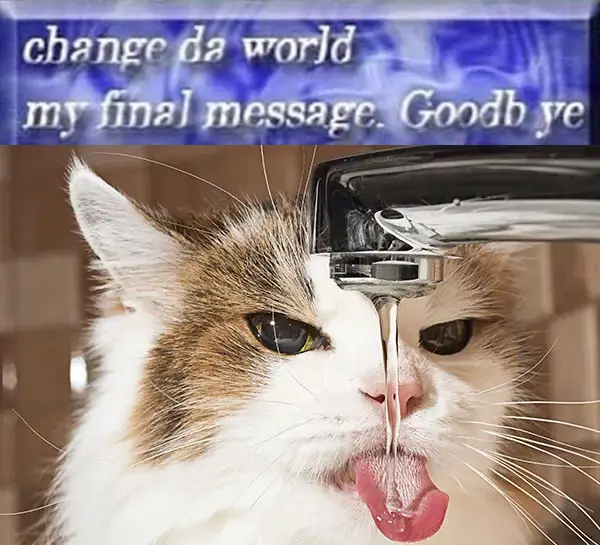 sink